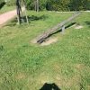 Bild 3 von 6