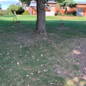 Bild vom Spielplatz anzeigen.