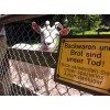 Bild 12 von 17