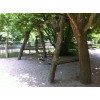 Bild 11 von 17