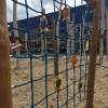 Bild 1 von 9