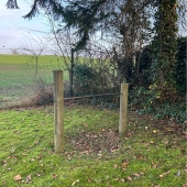 Bild vom Spielplatz anzeigen.
