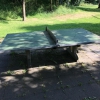 Bild 16 von 26