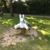 Bild 9 von 26