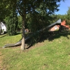 Bild 6 von 45