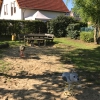 Bild 18 von 45