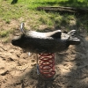 Bild 19 von 45