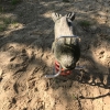 Bild 20 von 45