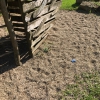 Bild 35 von 45