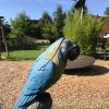 Bild 43 von 45