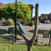 Bild 44 von 45