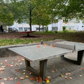 Bild vom Spielplatz anzeigen.