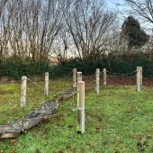 Bild vom Spielplatz anzeigen.