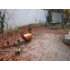 Bild 5 von 8