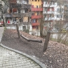Bild 10 von 17