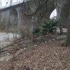 Bild 11 von 17