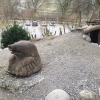 Bild 13 von 17