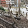 Bild 14 von 17