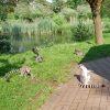 Bild 28 von 31