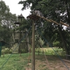 Bild 29 von 31