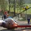 Bild 11 von 18