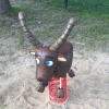 Bild 4 von 6
