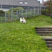 Bild vom Spielplatz anzeigen.
