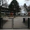 Bild 3 von 4