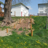 Bild 5 von 11