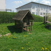 Bild 9 von 11