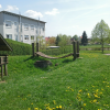 Bild 10 von 11