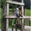 Bild 1 von 4