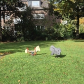 Bild vom Spielplatz anzeigen.