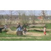 Bild 5 von 5