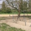 Bild 3 von 11