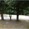 Bild 4 von 5
