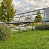 Bild vom Spielplatz anzeigen.
