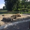 Bild 5 von 8