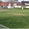 Bild 1 von 4