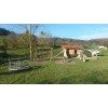 Bild 1 von 8
