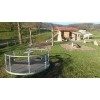 Bild 2 von 8