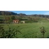 Bild 5 von 8