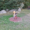 Bild vom Spielplatz anzeigen.