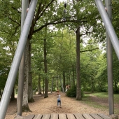 Bild vom Spielplatz anzeigen.
