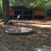Bild 11 von 14