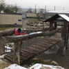 Bild 4 von 6
