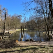 Bild vom Spielplatz anzeigen.