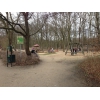 Bild 5 von 10