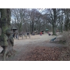 Bild 8 von 10