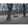 Bild 10 von 10
